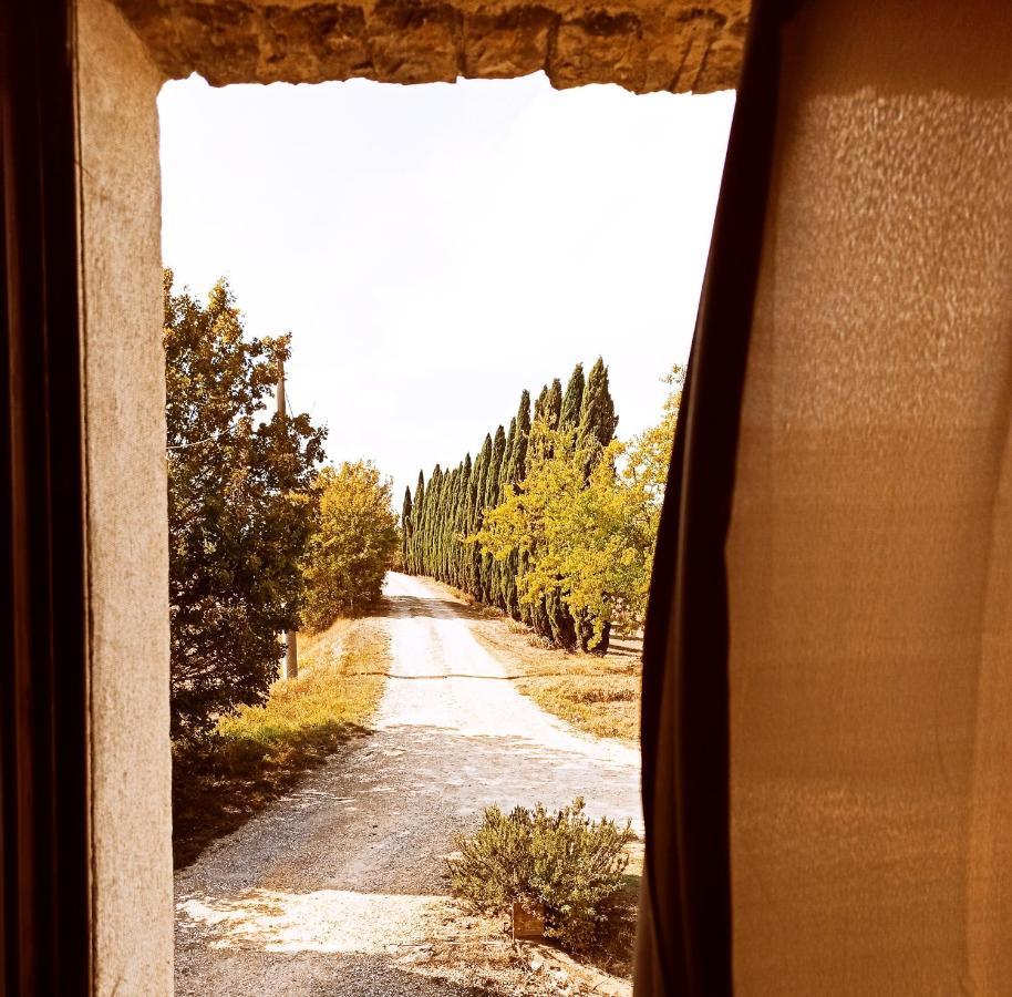 Villa Podere Cartaio Bio Estate Pool Airc San Rocco a Pilli Εξωτερικό φωτογραφία