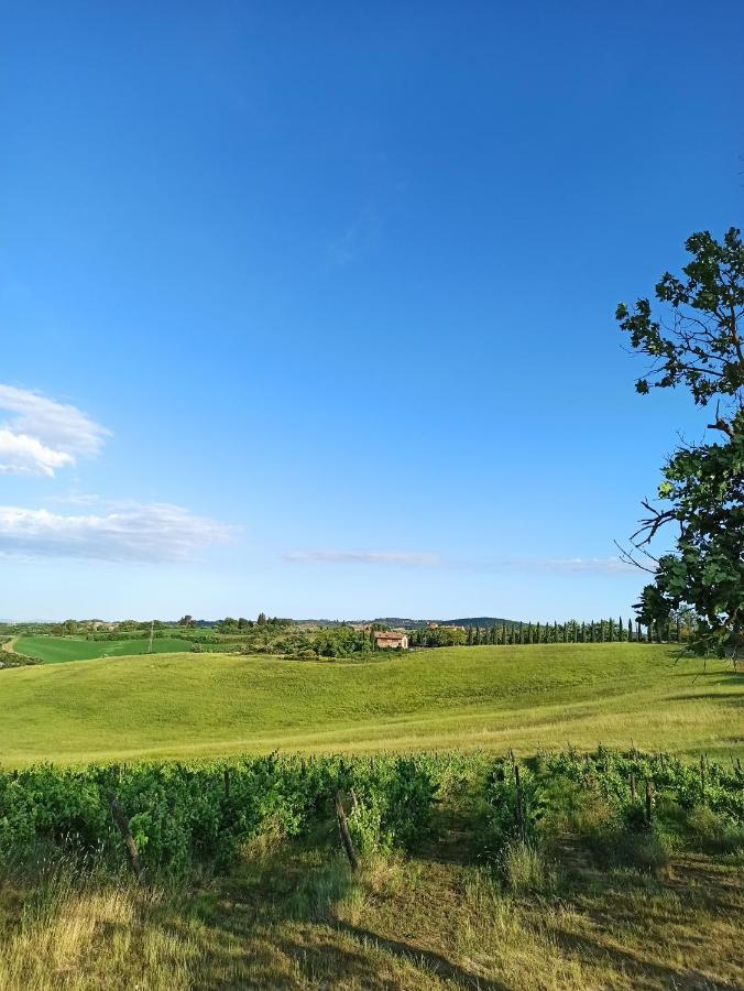 Villa Podere Cartaio Bio Estate Pool Airc San Rocco a Pilli Εξωτερικό φωτογραφία