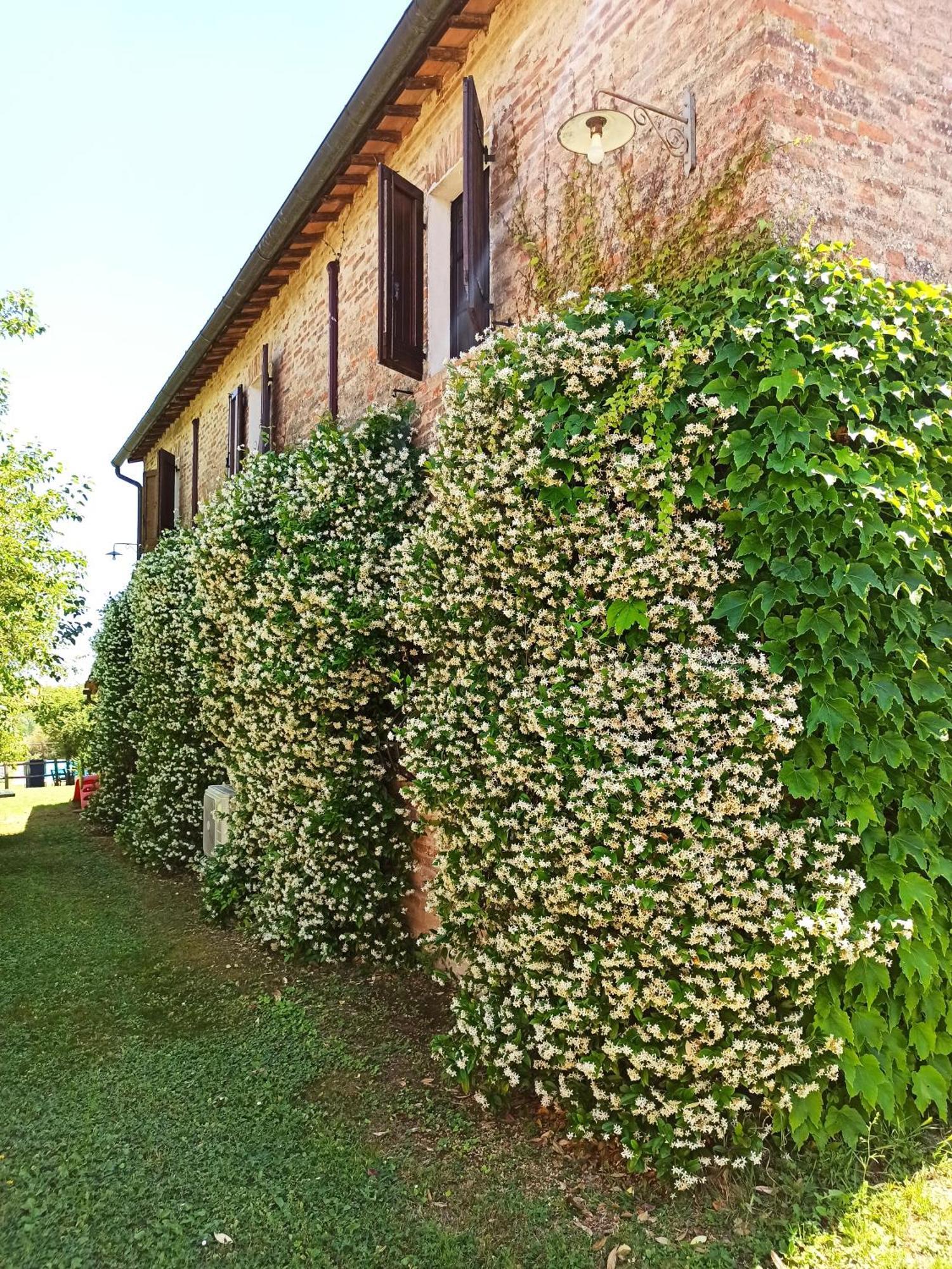 Villa Podere Cartaio Bio Estate Pool Airc San Rocco a Pilli Εξωτερικό φωτογραφία