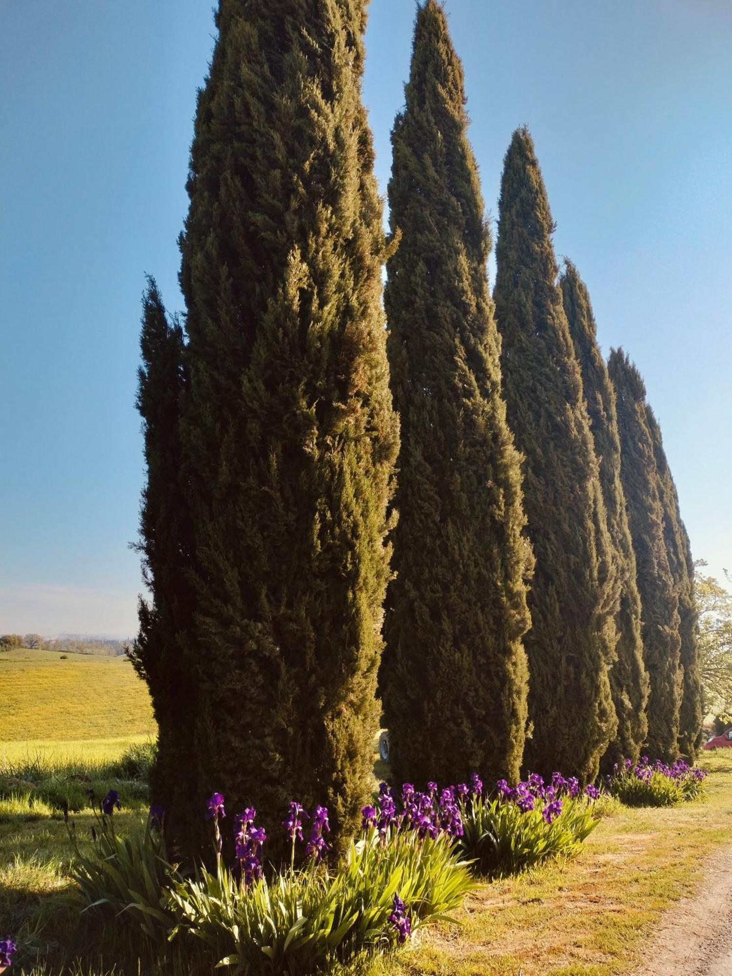 Villa Podere Cartaio Bio Estate Pool Airc San Rocco a Pilli Εξωτερικό φωτογραφία